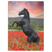 Klaprozen en Paard Klembord (Achterkant)