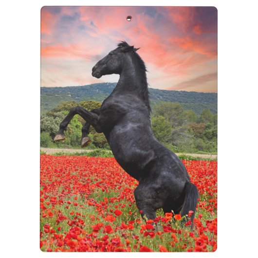 Klaprozen en Paard Klembord (Achterkant)