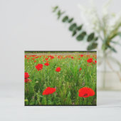 Klaprozen en wilde bloemen briefkaart (Staand voorkant)