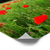 Klaprozen en wilde bloemen poster (Hoek)