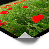 Klaprozen en wilde bloemen poster (Hoek)