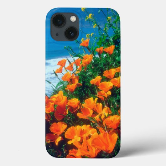 Klaprozen langs de Pacifische kust bij Big Sur Case-Mate iPhone Case (Achterkant)