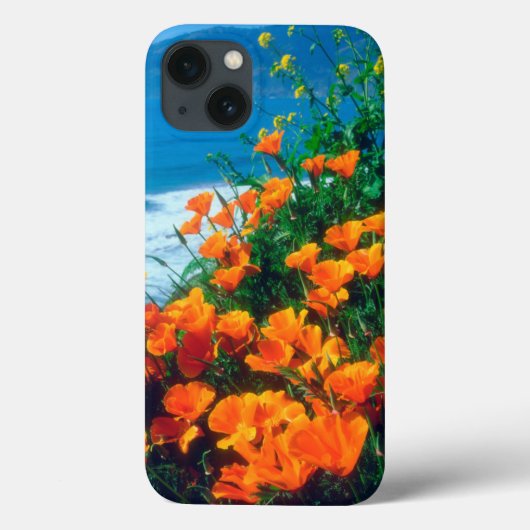 Klaprozen langs de Pacifische kust bij Big Sur Case-Mate iPhone Case (Achterkant)