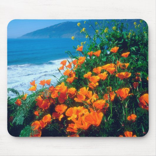 Klaprozen langs de Pacifische kust bij Big Sur Muismat (Voorkant)