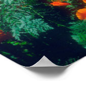 Klaprozen langs de Pacifische kust bij Big Sur Poster (Hoek)