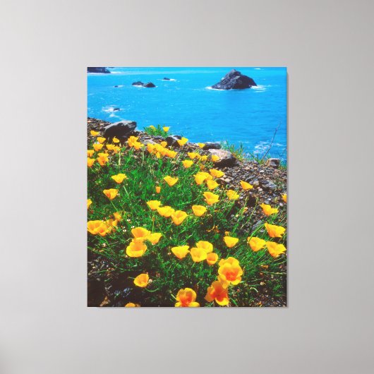 Klaprozen langs de Pacifische kust Canvas Afdruk (Voorkant)