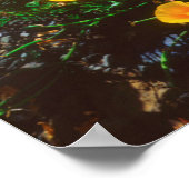 Klaprozen langs de Pacifische kust Poster (Hoek)