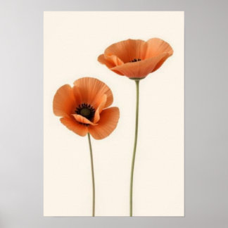 Klaprozen | Minimalistische Botanische Bloemige Mu Poster