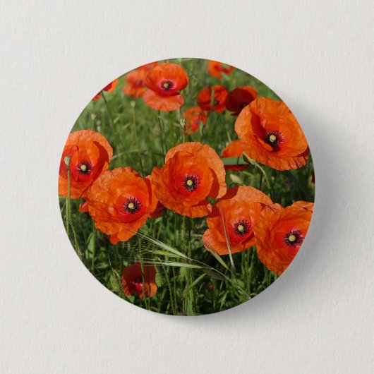 Klaprozen Ronde Button 5,7 Cm (Voorkant)