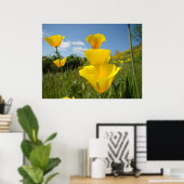 Klaprozen Sinaas Klaproos Bloemen Kunst Prints Oml (Thuiskantoor)