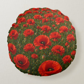 Klaprozenveld rond kussen