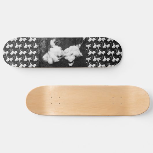 klapskateboard persoonlijk skateboard (Horizontaal)
