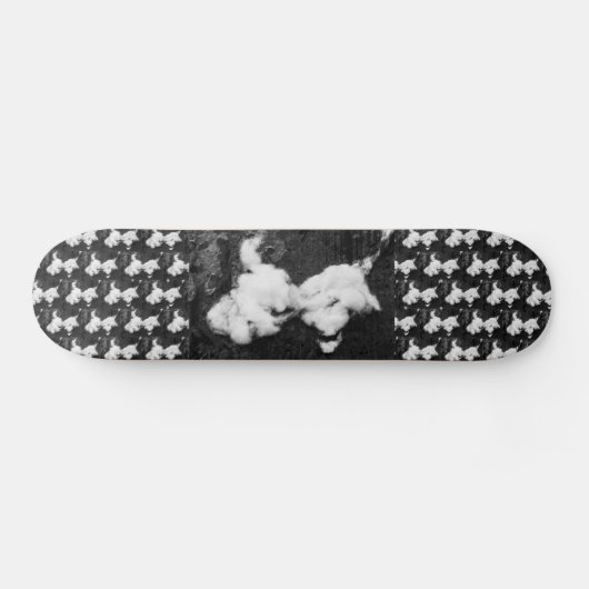 klapskateboard persoonlijk skateboard (Horizontaal)