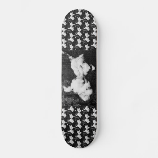 klapskateboard persoonlijk skateboard (Voorkant)