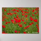 Klapveld Poster (Voorkant)