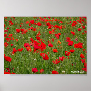 Klapveld Poster