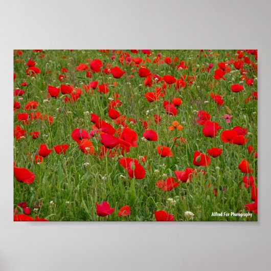 Klapveld Poster (Voorkant)