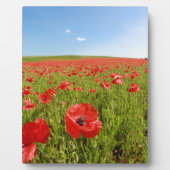 Klapveld - Prachtig! Fotoplaat (Voorkant)