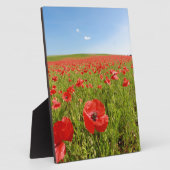 Klapveld - Prachtig! Fotoplaat (Zijkant)
