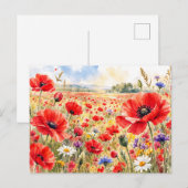 Klapveld - Waterverf Klaproos Briefkaart (Voorkant / Achterkant)