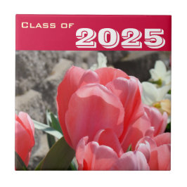 Klas cadeaus Afstudeer Tegels Kunst Roze Tulpen Tegeltje