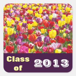 Klas van 2013 stickers Afstudeer Uitnodigingen Kaa