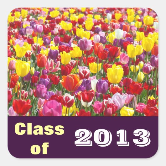 Klas van 2013 stickers Afstudeer Uitnodigingen Kaa (Voorkant)