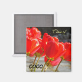 Klas van Schooljaar magneten Rode Tulp Bloemen (Voorkant / Achterkant)