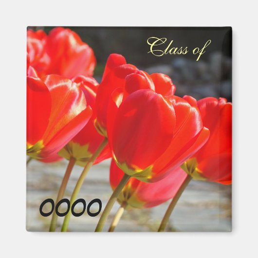 Klas van Schooljaar magneten Rode Tulp Bloemen (Voorkant)