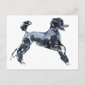 Klasse 2013 briefkaart (Voorkant)