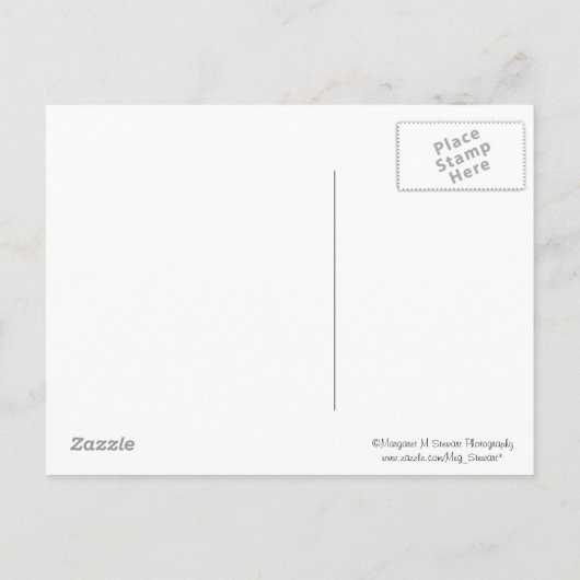 Klasse van 2013 Royal Blue Pet Afstuderen Briefkaa Aankondigingskaart (Achterkant)