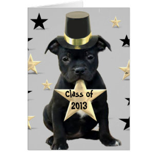 Klasse van 2013 Staffordshire Bull Terrier Card