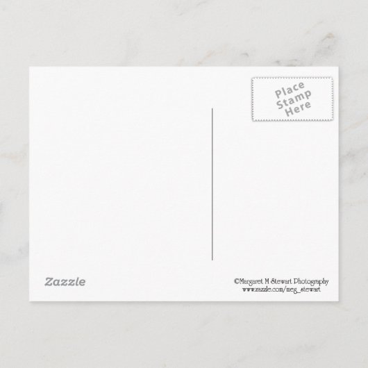 Klasse van 2016 Groen Pet Afstuderen Briefkaart (Achterkant)