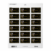 Klasse van 2020 Gold Black Victoriaans Adresetiket Etiket (Full Sheet)