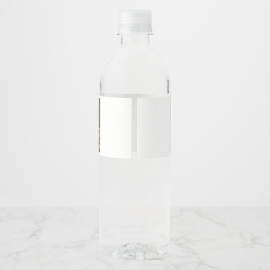 Klasse van 2025 2 foto's Afstuderen Waterfles Etiket (Achterkant)