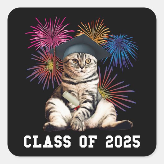 Klasse van 2025 Cat Lover Vierkante Sticker (Voorkant)
