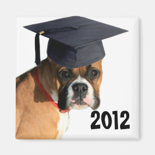Klasse van Boxer afstuderen magnet 2012
