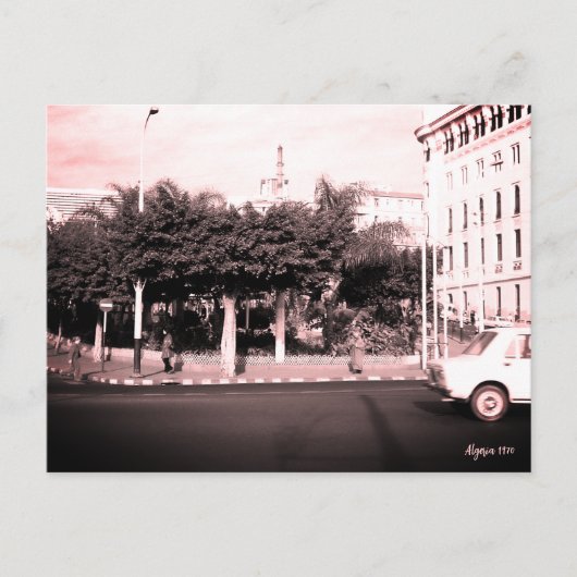 Klassiek Algerije Algiers auto's gebouw Briefkaart (Voorkant)
