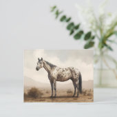 Klassiek Amerikaans Briefkaart van Appaloosa Horse (Staand voorkant)