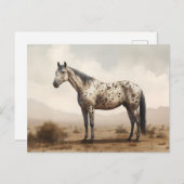 Klassiek Amerikaans Briefkaart van Appaloosa Horse (Voorkant / Achterkant)