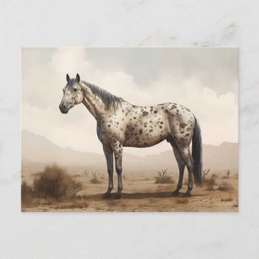 Klassiek Amerikaans Briefkaart van Appaloosa Horse (Voorkant)