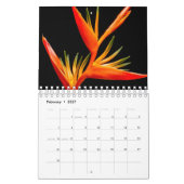 Klassiek, beroemd kalender (Feb 2027)