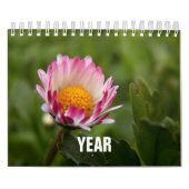 Klassiek, beroemd kalender (Hoes)
