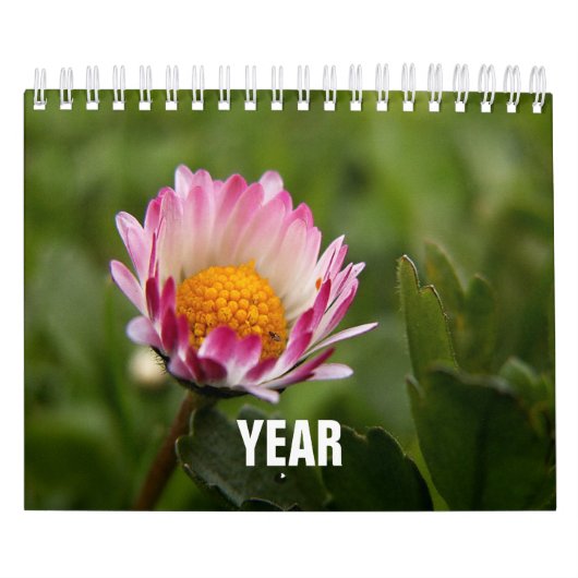 Klassiek, beroemd kalender (Hoes)