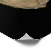 Klassiek beroemd schilderij van Abbott Handerson T Poster (Hoek)