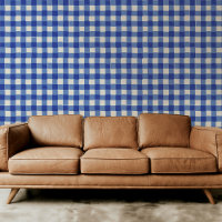 Klassiek blauw en wit Hand-getrokken geruite gerui