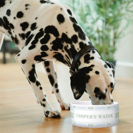 Klassiek blauw groen geruit patroon naam hond wate voerbakje