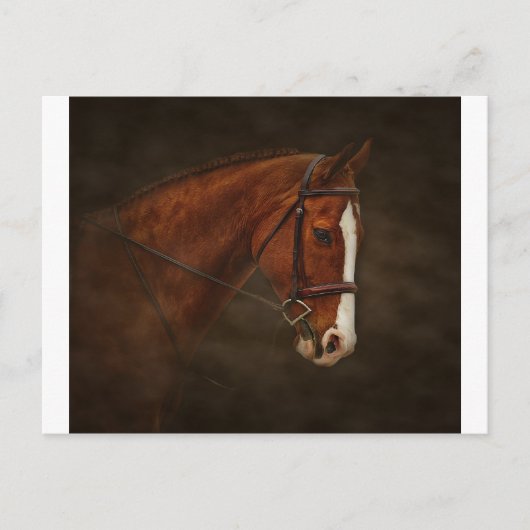 Klassiek Briefkaart (Voorkant)