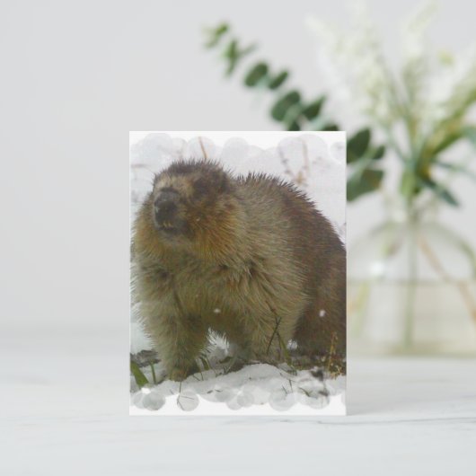 Klassiek Briefkaart (Staand voorkant)