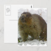 Klassiek Briefkaart (Voorkant / Achterkant)